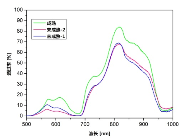 光纖光譜儀在水果成熟度分選的應用